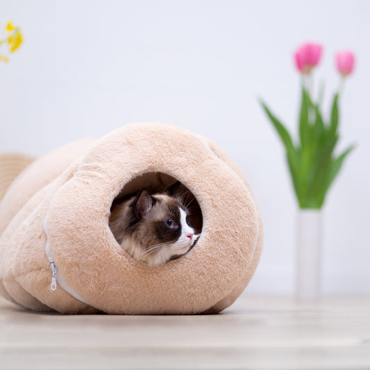 バームクーヘンベッド