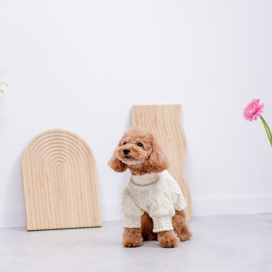 パフスリーブニット