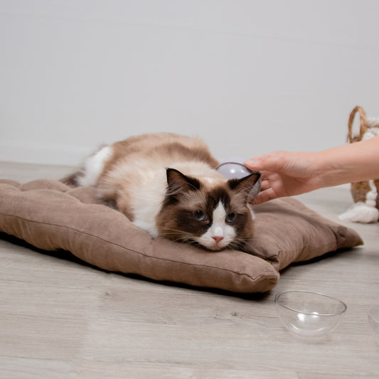 UFO型ペットブラシ