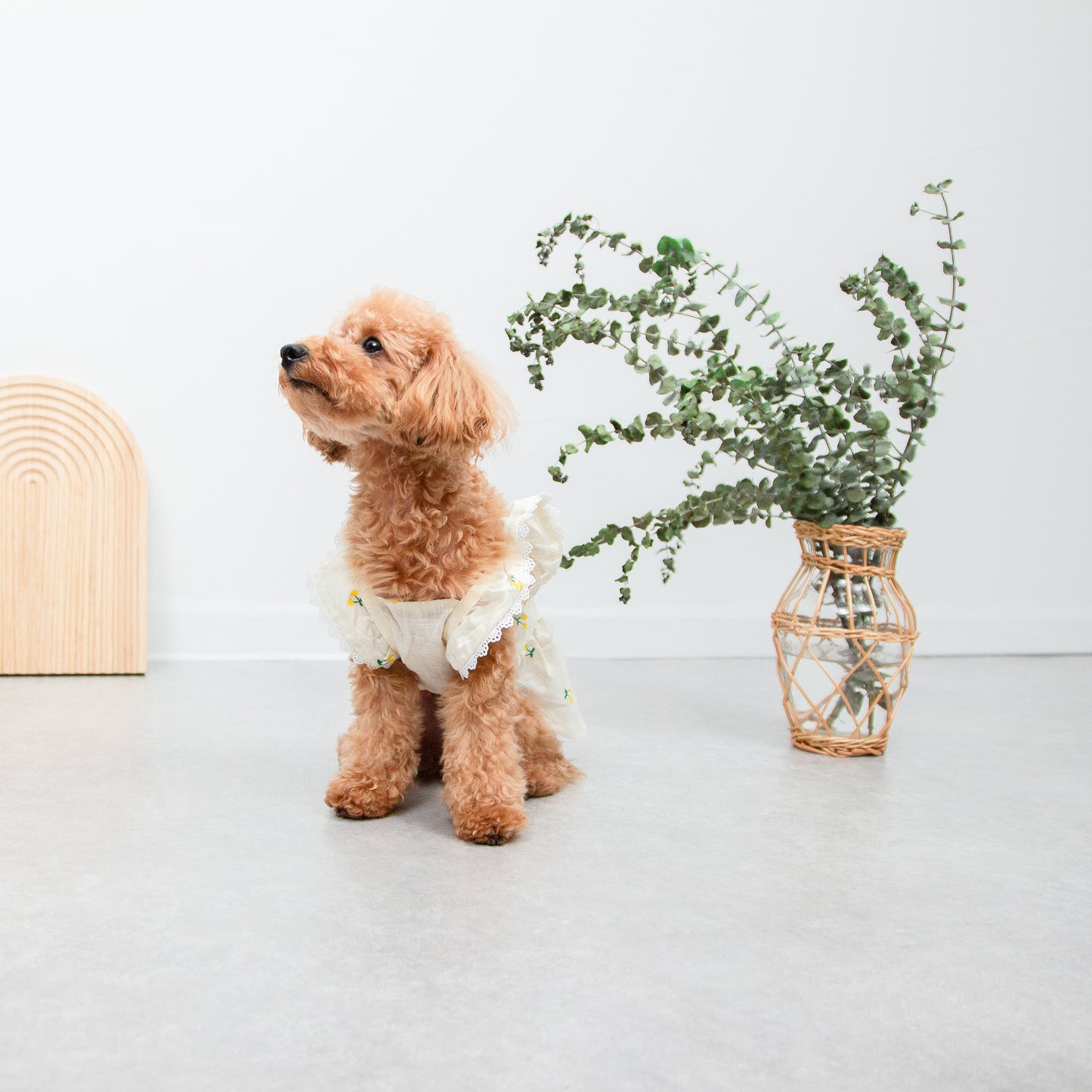 さくらんぼ柄フリルワンピース