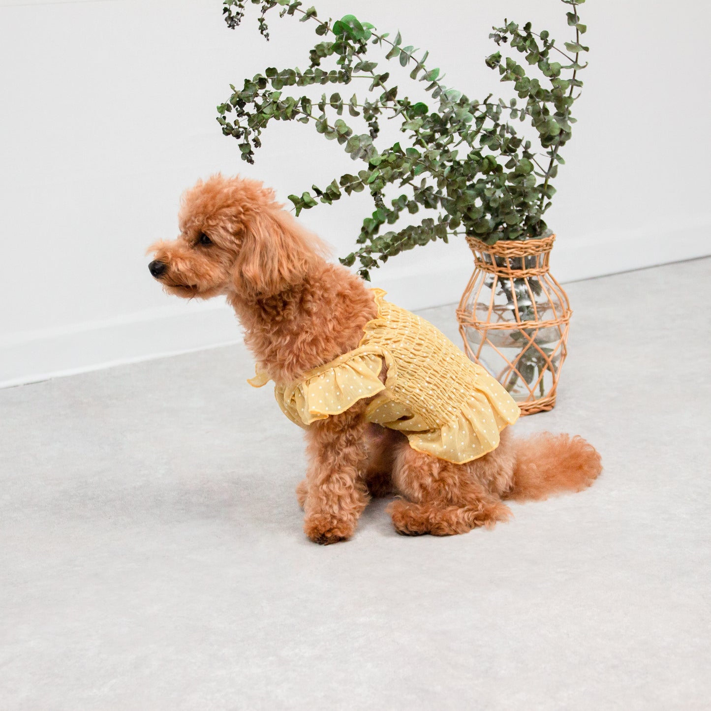 ドット柄シフォンワンピース