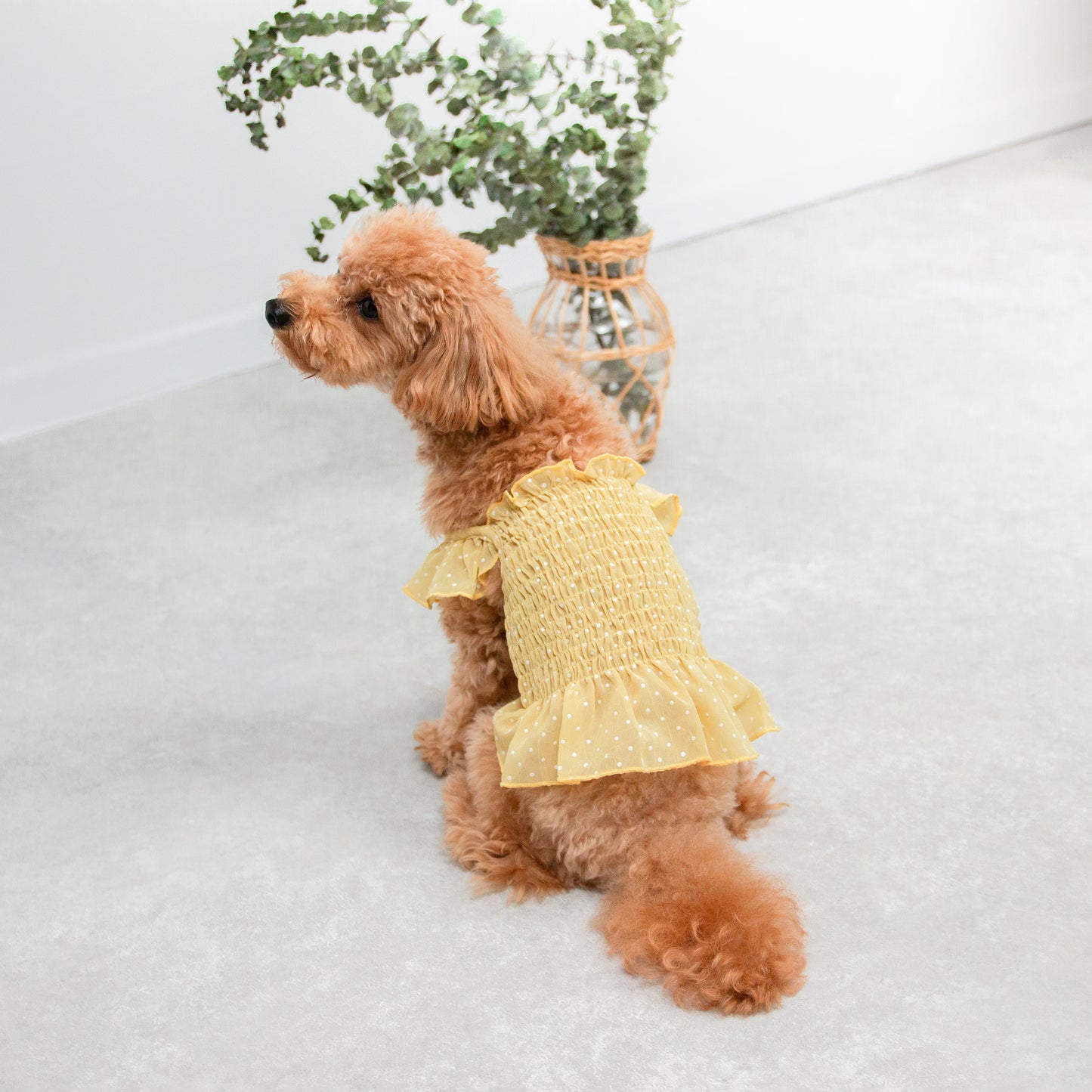 ドット柄シフォンワンピース