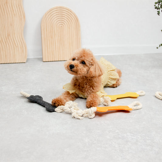 カラフルボーンのおもちゃ