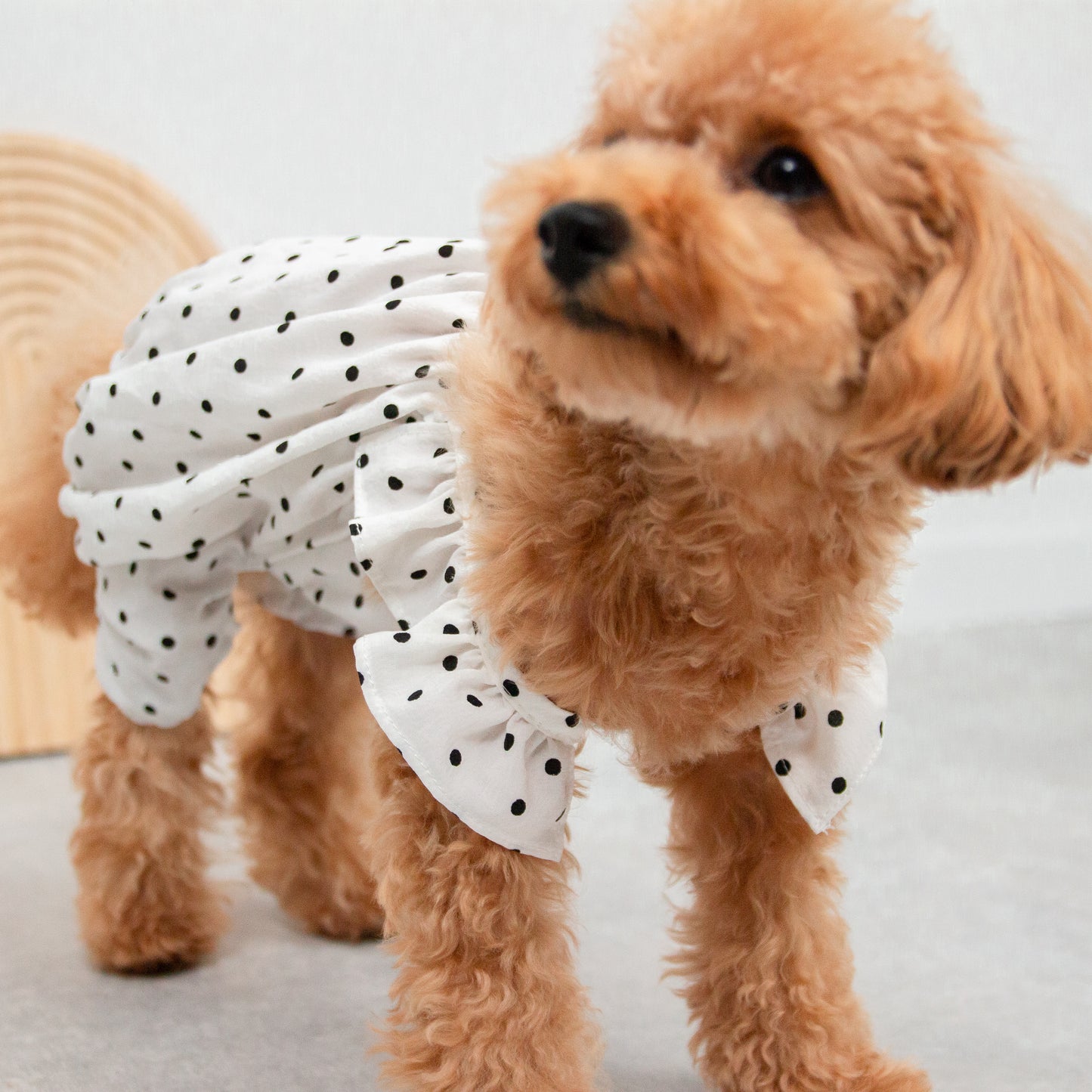 ドット柄バルーンサロペット