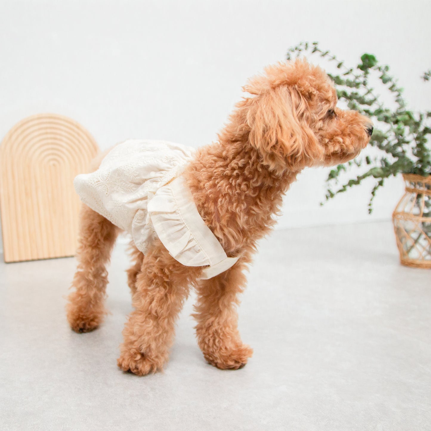 フリルレースワンピース