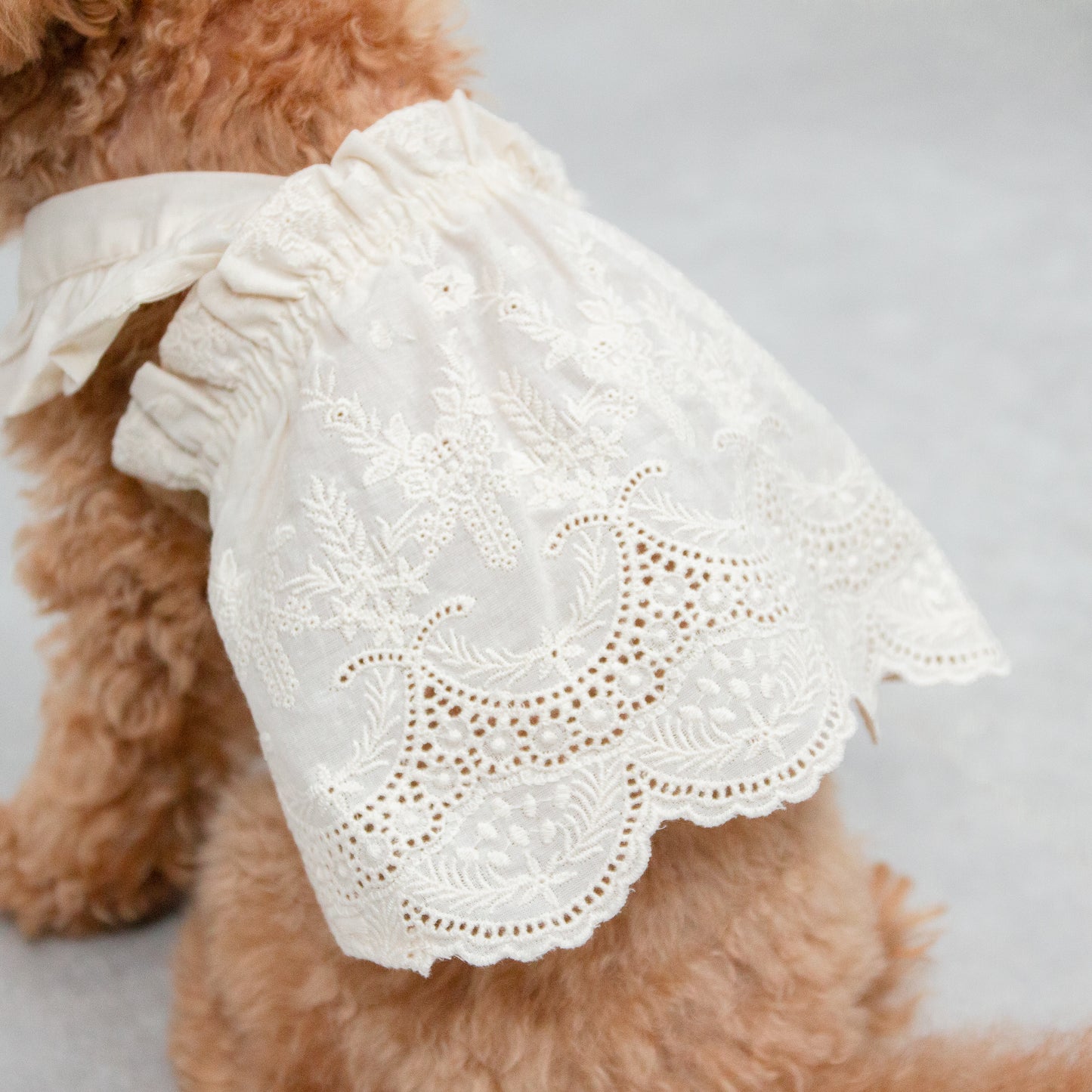 フリルレースワンピース