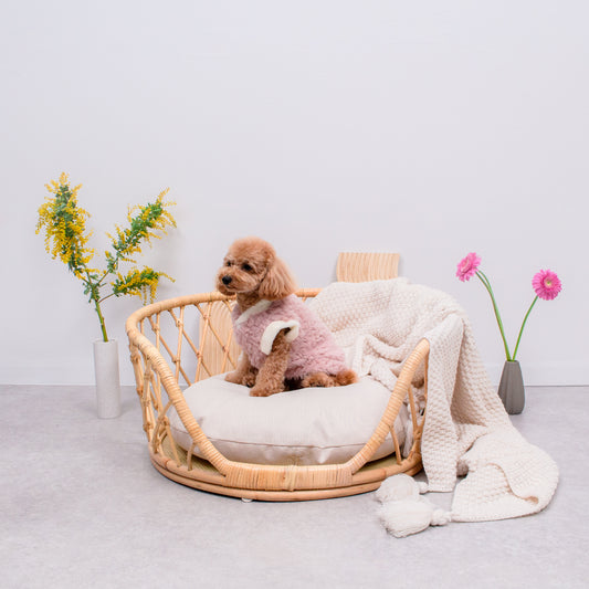 春色もこもこアウター