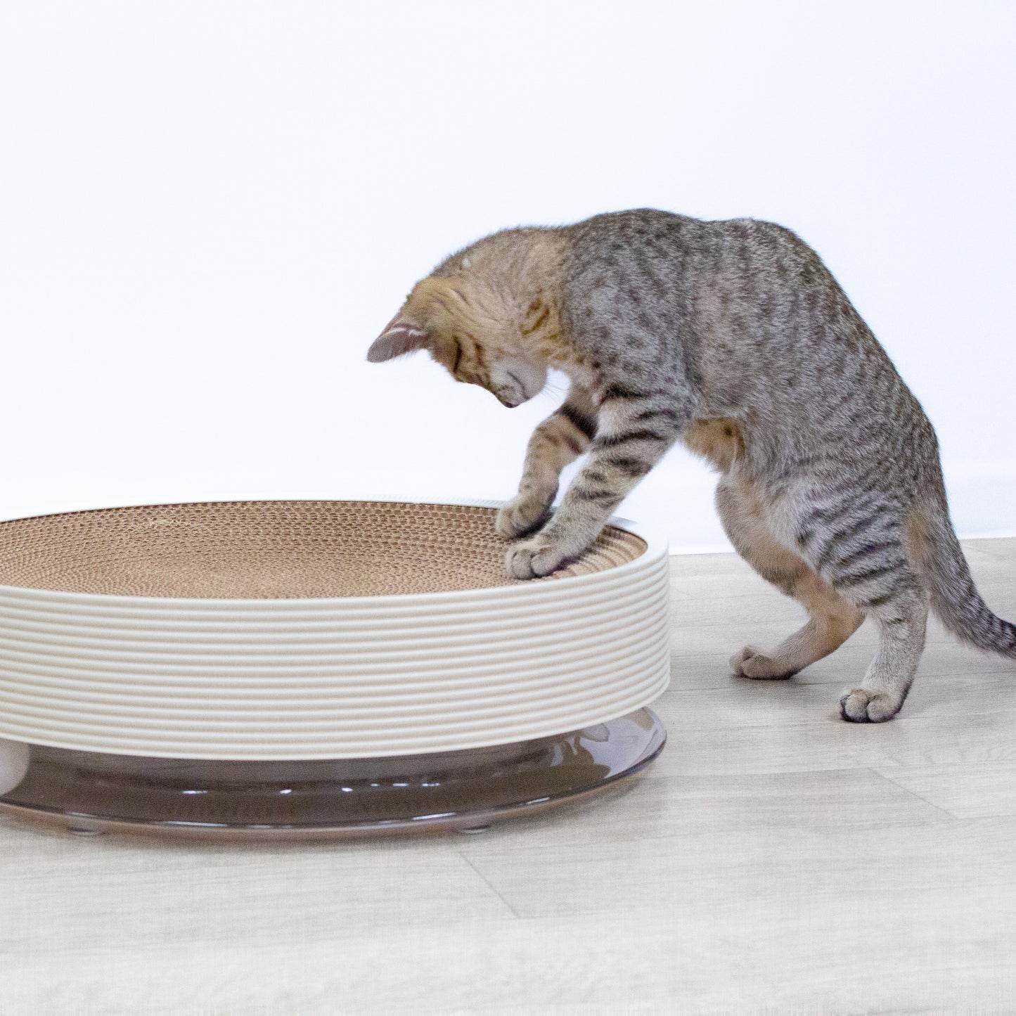 ねこちゃんの3WAY爪とぎ