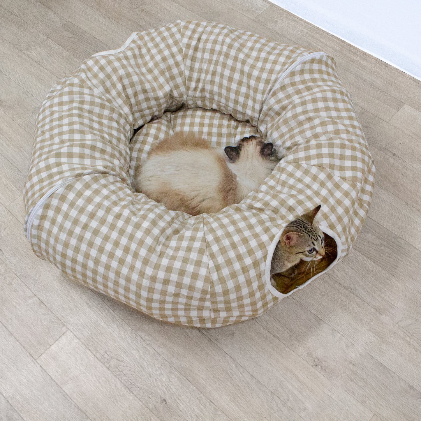 ねこちゃんトンネル