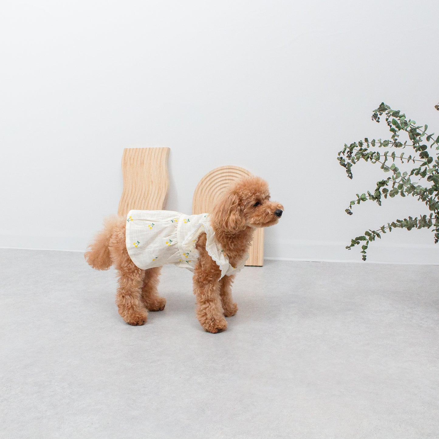 さくらんぼ柄フリルワンピース