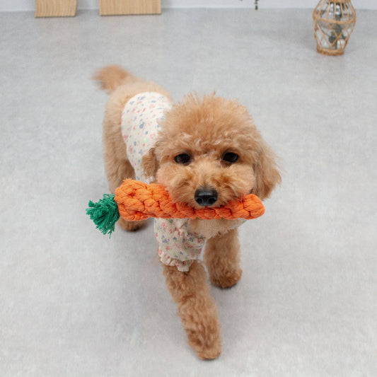 にんじんのかみかみおもちゃ