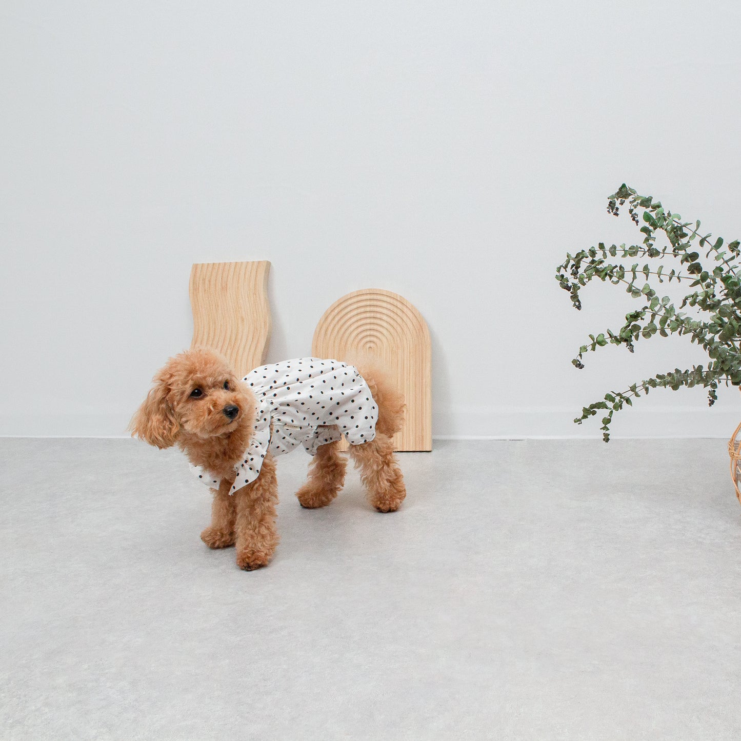 ドット柄バルーンサロペット