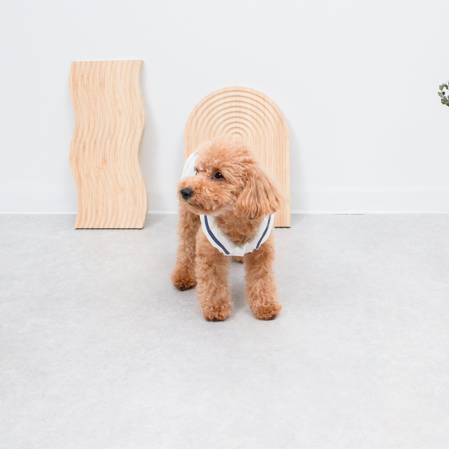 マリンカラーワンピース