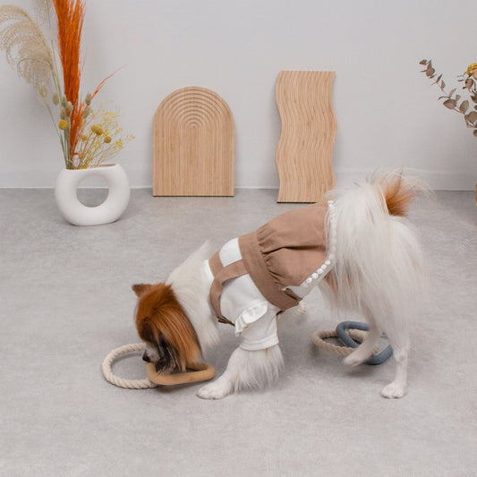 トライアングルロープおもちゃ